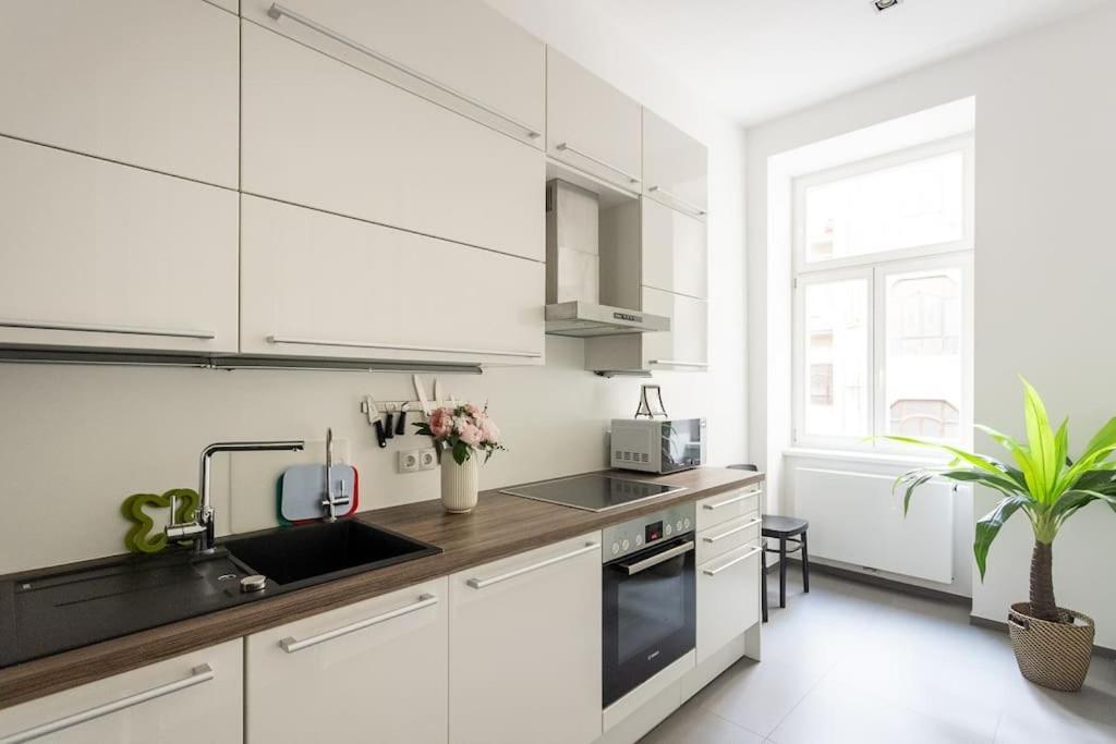 Franz 24 - Typical Viennese Apartment In The Heart Of Vienna Viena Exterior foto